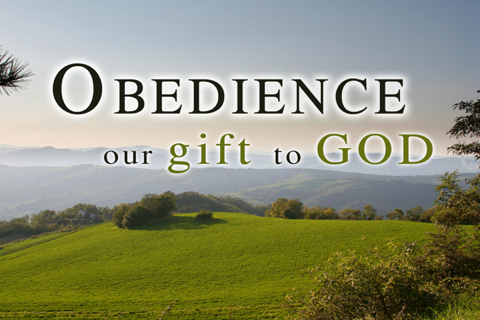 obedience005b1005d